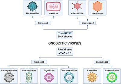 Immunovirotherapy for Pediatric Solid Tumors: A Promising Treatment That is Becoming a Reality